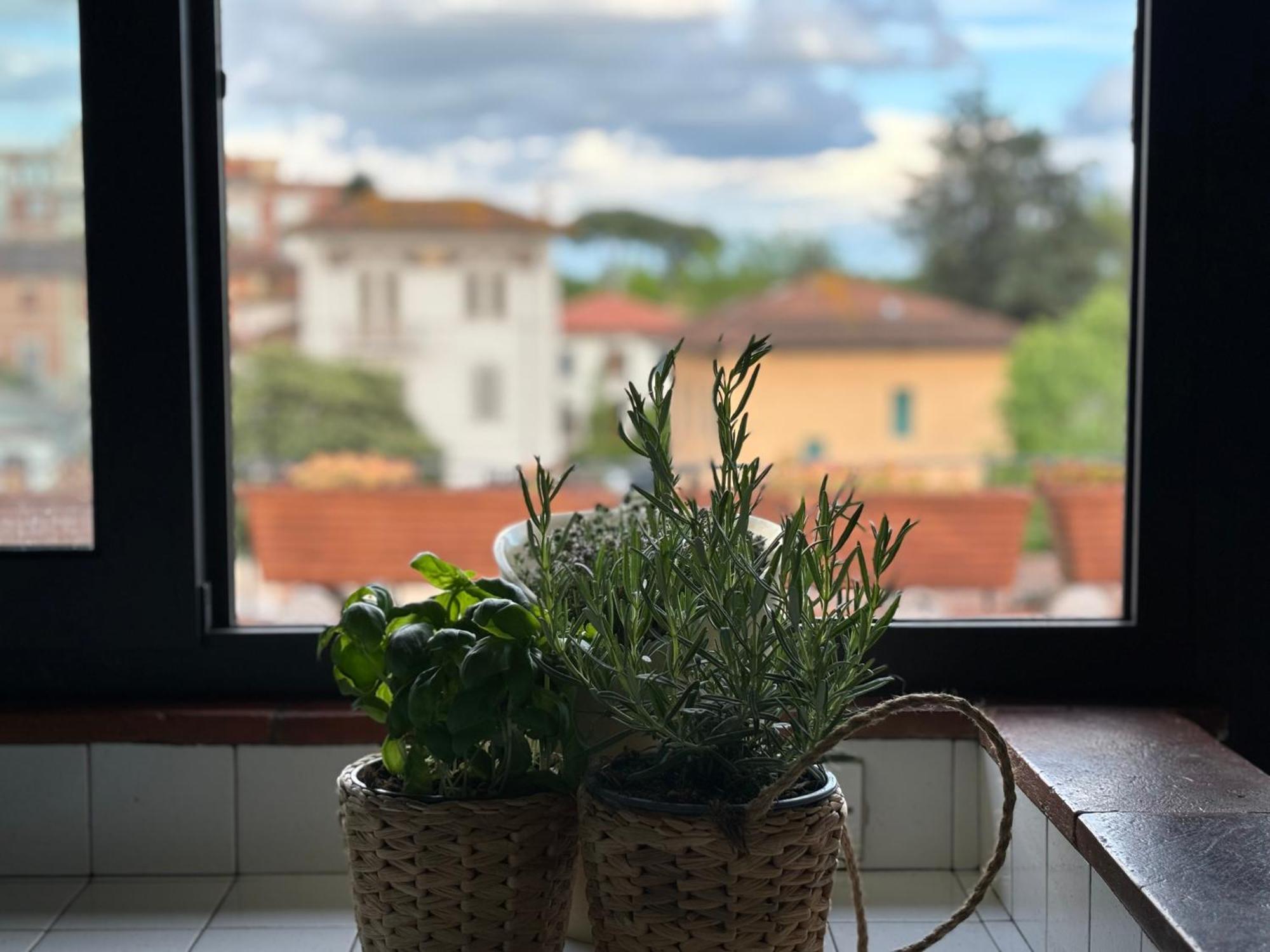 Lovely Apartment Lucca Eksteriør billede